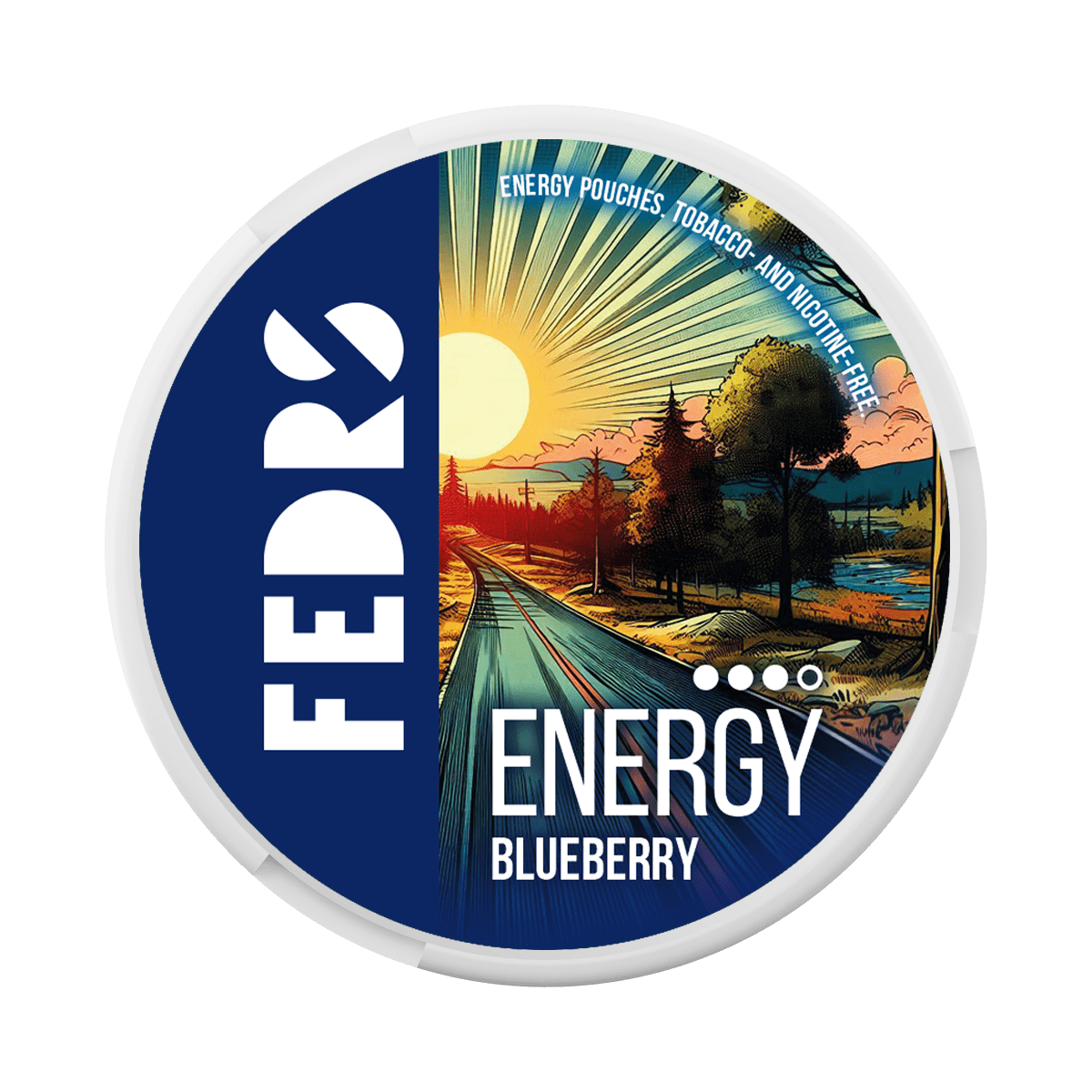 FEDRS VITAMIN ENERGY BLUEBERRY 65MG/P