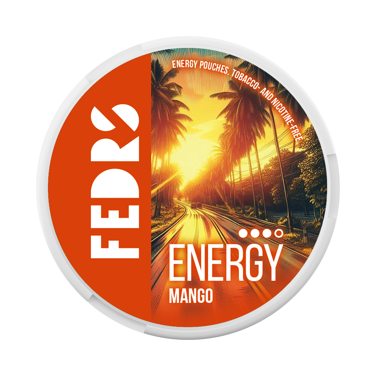 FEDRS VITAMIN ENERGY MANGO 65MG/P