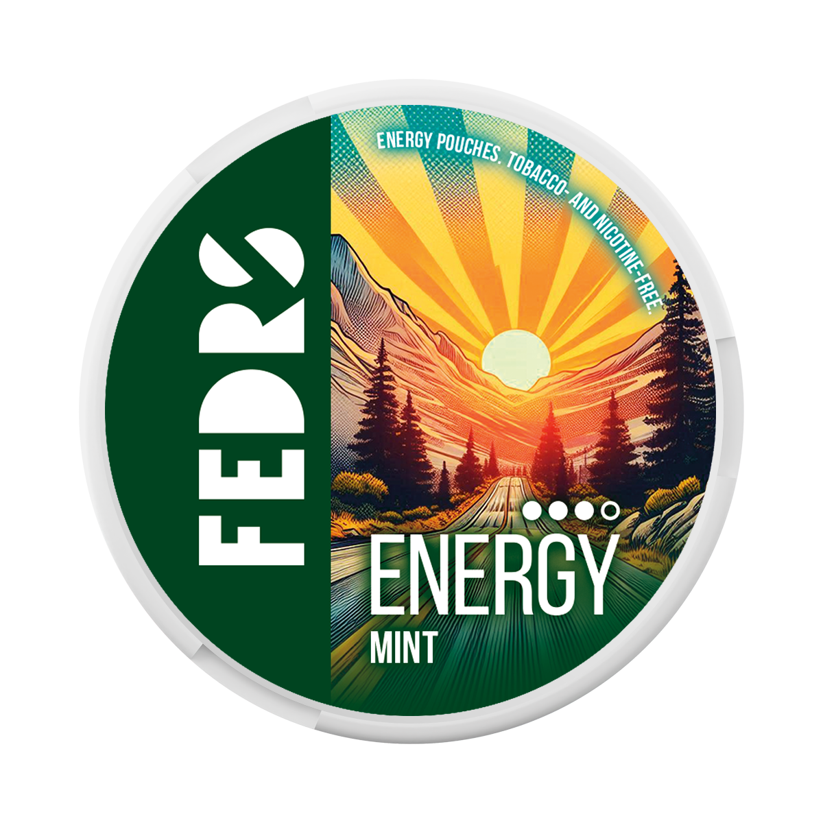 FEDRS VITAMIN ENERGY MINT 65MG/P