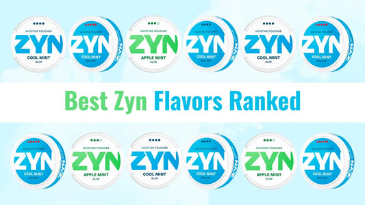 Best Zyn Flavor: Top 9 Zyn Flavors Ranked